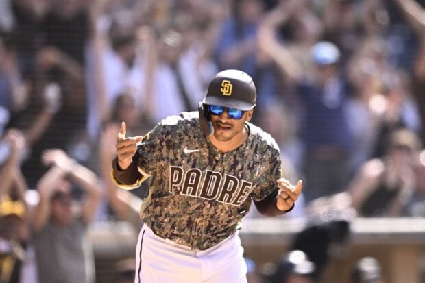 A San Diego Padres player celebrates during a baseball game with fans in the background, HD Desktop Wallpaper