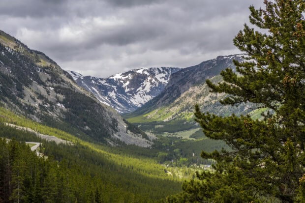 A scenic view of a Montana valley with snow capped mountains and green forests, 2K Desktop Wallpaper