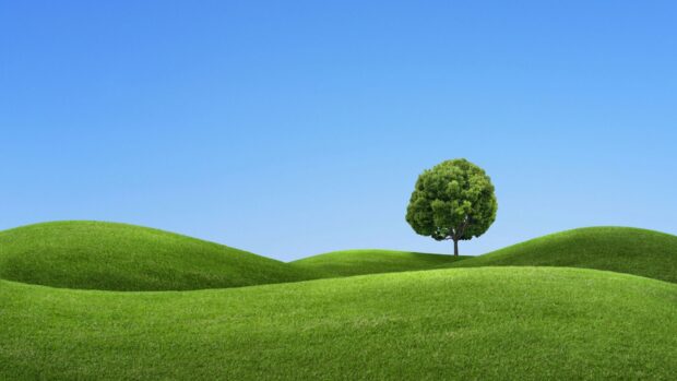 The green hills feature a single tree under a clear blue sky with peaceful scenery, 4K Desktop Wallpaper