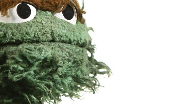 A close up of a Sesame Street character with a green textured face and brown hair, HD Desktop Wallpaper