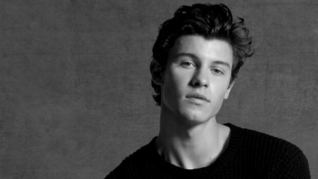Shawn Mendes wearing a black sweater posing against a gray background in a black and white portrait