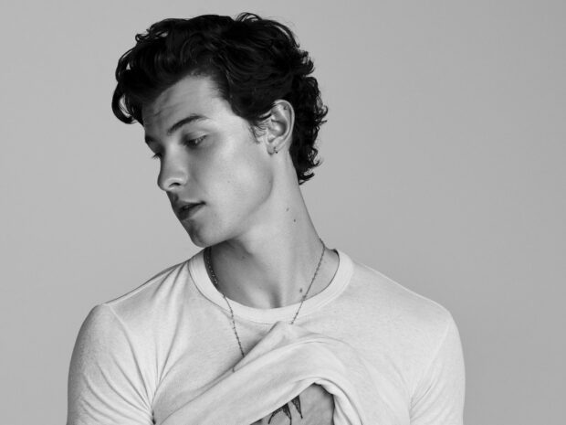 Shawn Mendes showing a thoughtful expression while lifting his shirt in a black and white portrait