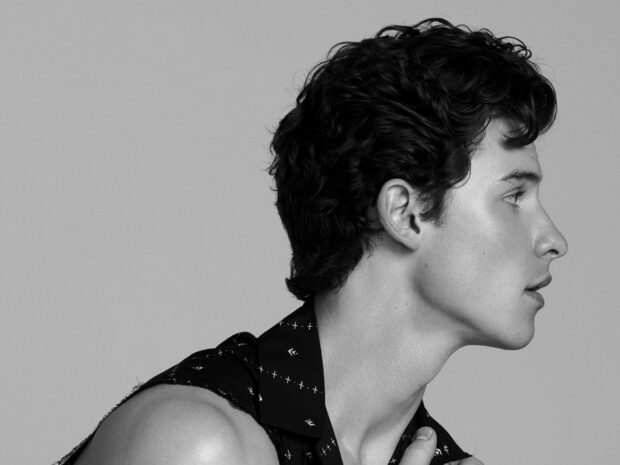 Profile of Shawn Mendes showing his sharp jawline and curly hair in black and white