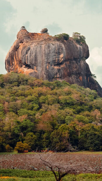 The iconic Sigiriya Rock Fortress stands tall surrounded by lush greenery in Sri Lanka Wallpapers, HD Phone Wallpaper