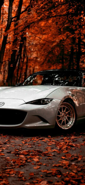 A sleek Mazda car is parked among orange autumn leaves and trees, HD Phone Wallpaper