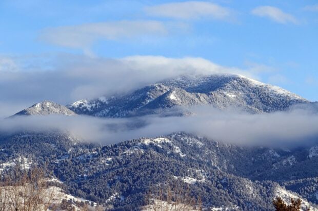 Snowy mountain peaks covered with pine trees in Montana with clouds, HD Desktop Wallpaper