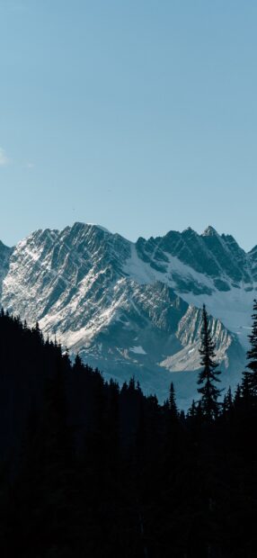 The snowy peaks in Glacier National Park rise above dense forested hills, 2K Mobile Wallpaper