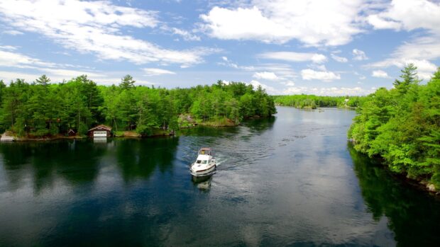 A white boat cruising along the St Lawrence River surrounded by green trees under a bright sky