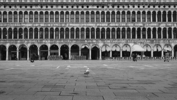 A seagull stands in the empty St Marks Square with historic arches in the background, 2K Desktop Wallpaper