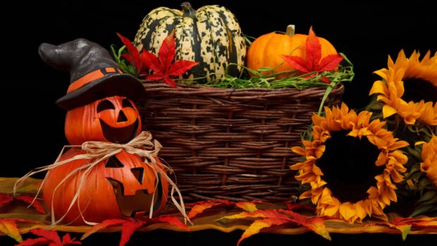 A stack of Halloween pumpkins with a hat is beside sunflowers and colorful autumn leaves, 4K Desktop Wallpaper