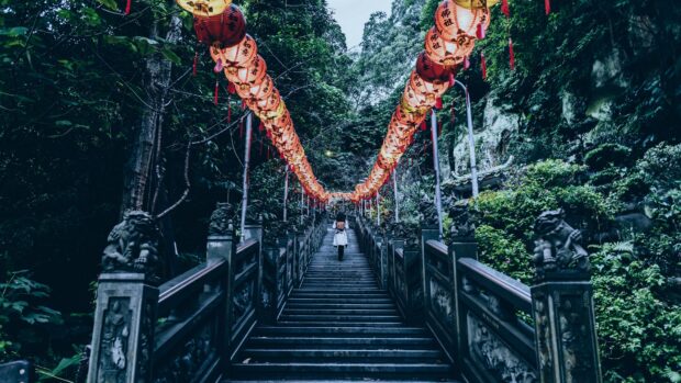A person walking up the staircase decorated with traditional lanterns in a forested area