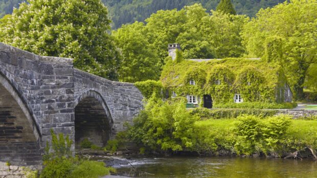 A stone bridge stands beside an ivy covered house surrounded by vibrant greenery in Wales, HD Desktop Wallpaper