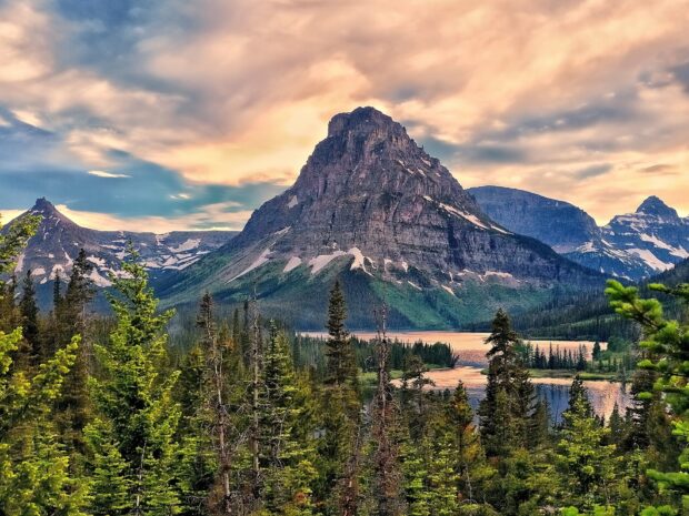 A scenic mountain rises above lush pine trees at Glacier National Park during sunset, HD Desktop Wallpaper
