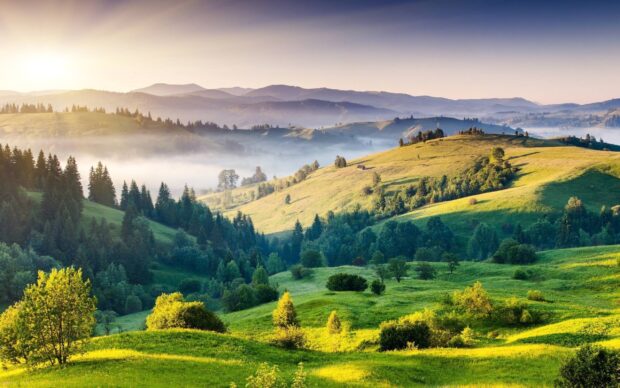 A beautiful view of green hills covered with trees and morning mist captured in nature, 2K Desktop Wallpaper