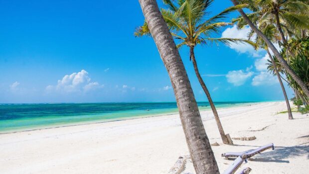 Zanzibar Wallpapers capture a peaceful coastal scene, HD Desktop Wallpaper