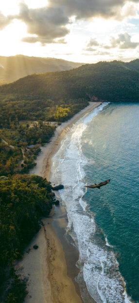 A large bird flies above the beach and ocean waves in the Dominican Republic landscape, 2K Mobile Wallpaper