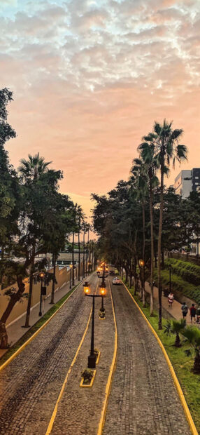 A cobblestone street lined with palm trees and lampposts is illuminated at sunset in Lima Peru, HD Phone Wallpaper