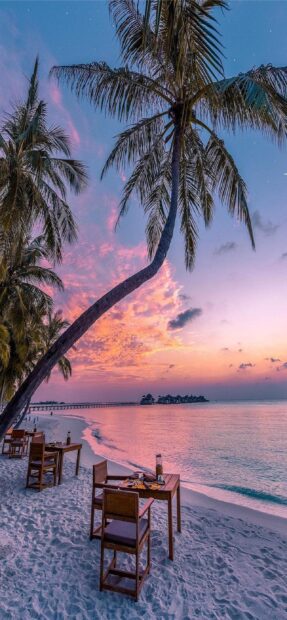 A serene beach scene with palm trees and tables at sunset reflecting Zanzibar Wallpapers, 2K Phone Wallpaper