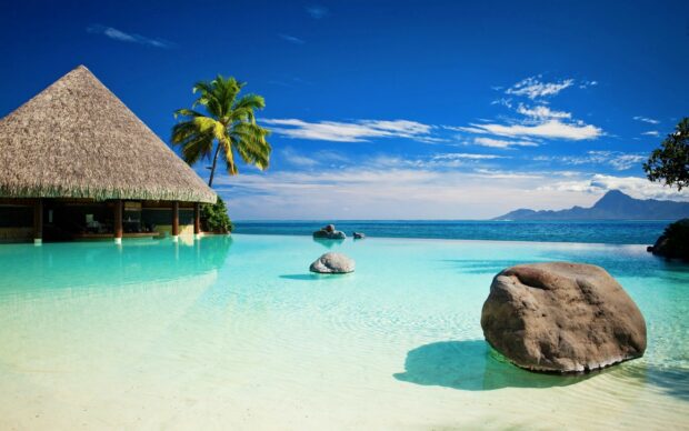 Tropical Tahiti scene with palm trees and clear ocean water near a thatched roof hut
