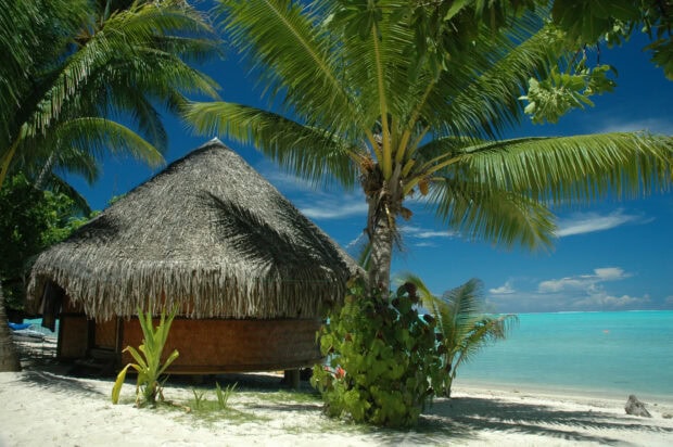 A tropical hut surrounded by palm trees on a sandy beach in Tahiti