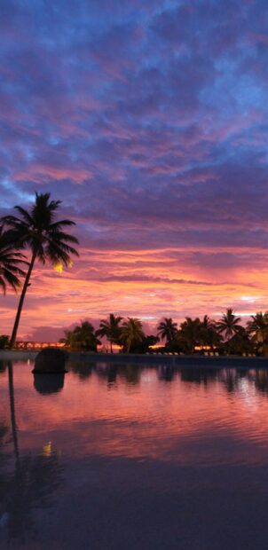 Tahiti sunset sky with palm trees reflecting on calm water at dusk