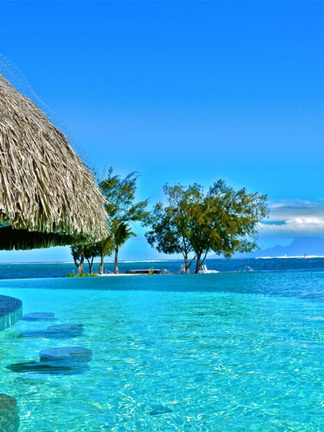 Clear blue water in Tahiti with tropical trees and a straw hut near the shore