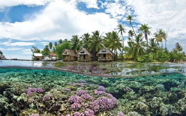 A tropical island village with palm trees and vibrant coral reefs underwater in Tahiti