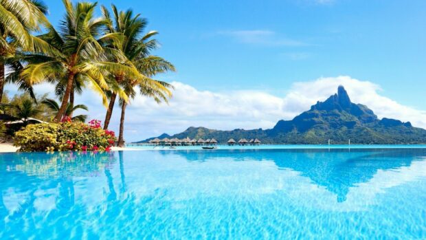 Tropical paradise with palm trees and mountain in Tahiti scenic view
