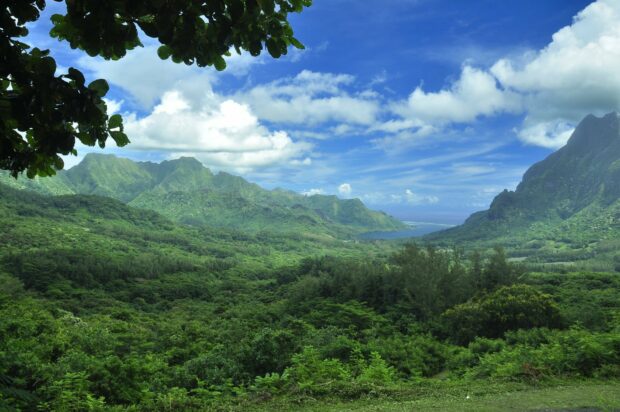Lush Tahiti valley surrounded by green mountains under a blue sky with clouds