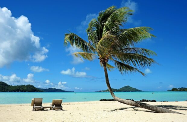 A tropical beach with a palm tree and lounge chairs in a Tahiti setting