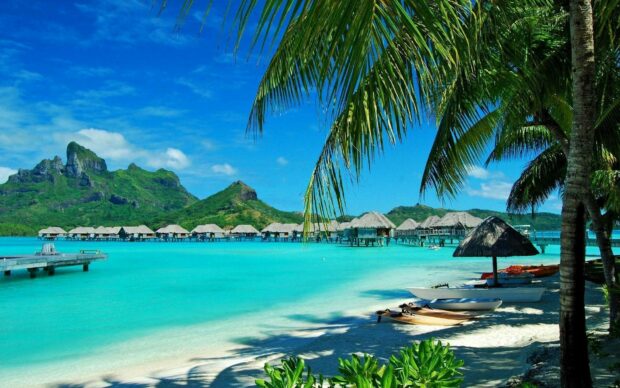 Tropical paradise with clear turquoise water and palm trees in Tahiti