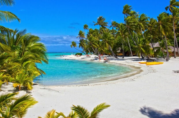 White sandy beach with palm trees and turquoise ocean in Tahiti tropical paradise