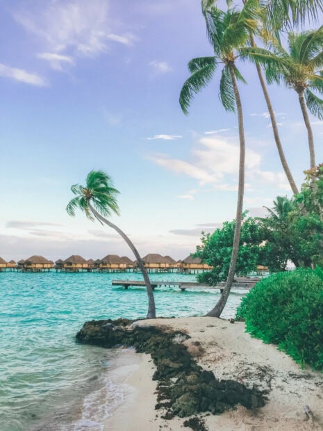 Tropical island with sandy beach and palm trees in Tahiti