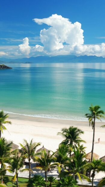 Tropical coast with palm trees and ocean view at Tahiti