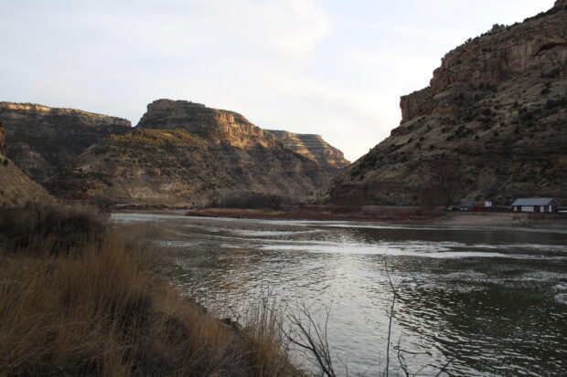A serene view of the Colorado River flowing between rocky canyon walls with dry grass along the riverbank