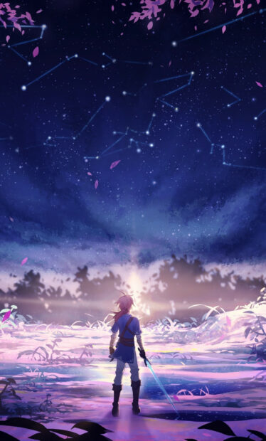 A character from The Legend Of Zelda stands with a glowing sword beneath a starry sky, HD Phone Wallpaper