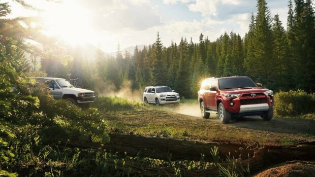 Off-road vehicles driving through a lush green forest trail during daytime with sunlight filtering through trees.