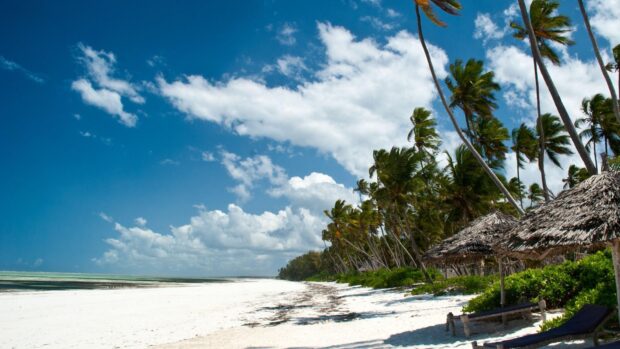 A beautiful tropical beach with palm trees and clouds under the blue sky in Zanzibar, HD Desktop Wallpaper