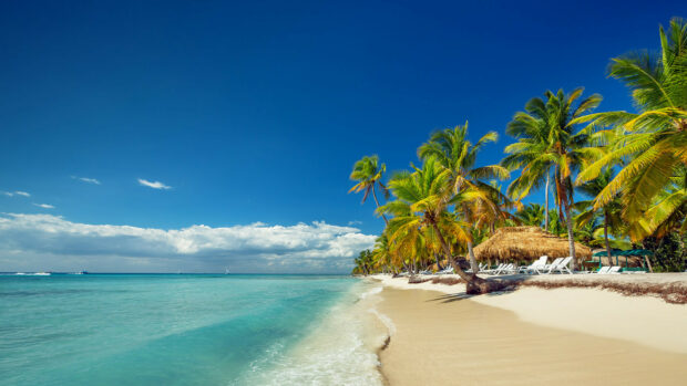 A serene beach with clear turquoise water and palm trees in the Dominican Republic, HD Desktop Wallpaper