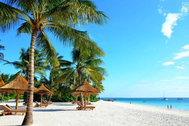 The sunny beach with palm trees and umbrellas shows the beauty of Zanzibar Wallpapers coast, HD Desktop Wallpaper