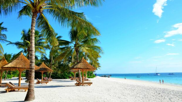The Zanzibar Wallpapers show a pristine white sandy beach with palm trees and calm turquoise waters, HD Desktop Wallpaper