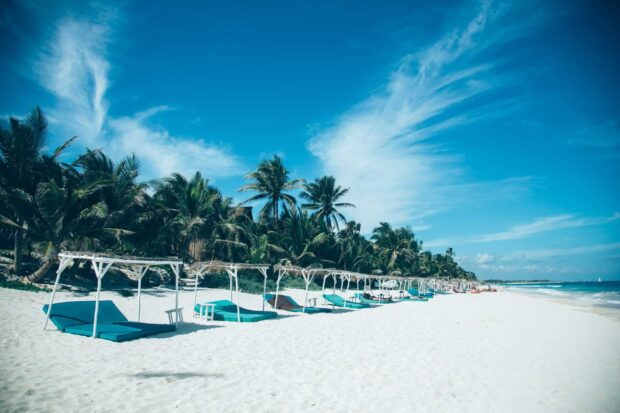 The Zanzibar beach showcases clear sky and palm trees along the white sand coast, HD Desktop Wallpaper