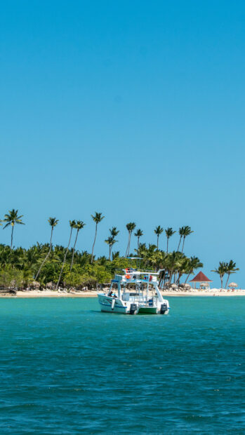 A tropical boat is sailing near a palm tree lined island in the Dominican Republic, HD Mobile Wallpaper