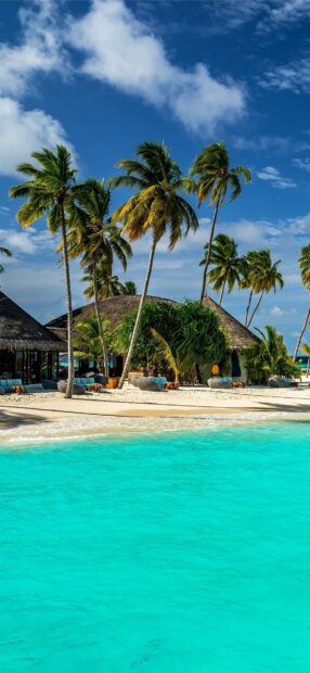 A tropical bungalow surrounded by palm trees is located on a white sandy beach near clear turquoise water