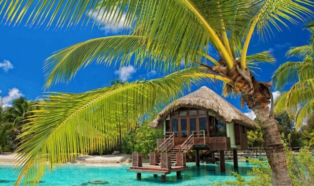 A beautiful bungalow surrounded by palm trees and crystal clear water, HD Desktop Wallpaper