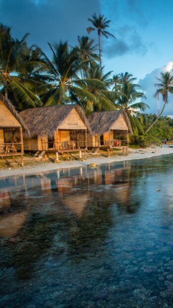 A tropical bungalow near clear water surrounded by palm trees and blue sky, 2K Mobile Wallpaper