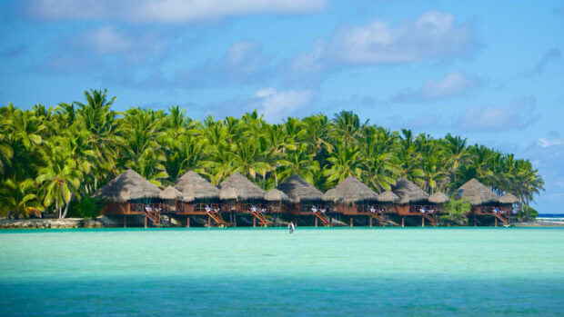 A peaceful row of bungalow surrounded by palm trees by the sea, HD Desktop Wallpaper