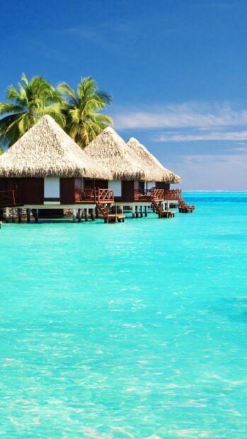 A beautiful tropical bungalow over clear blue water under a bright sky with bungalow wallpapers, HD Wallpaper