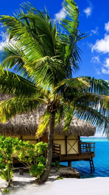 A tropical bungalow with green palm tree and blue ocean in the background, 2K Mobile Wallpaper
