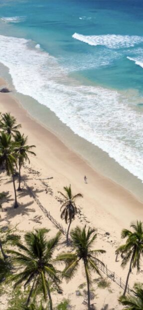 Aerial view of tropical coastline with palm trees and waves in Dominican Republic, 2K Mobile Wallpaper